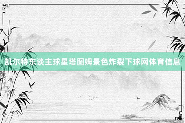 凯尔特东谈主球星塔图姆景色炸裂下球网体育信息