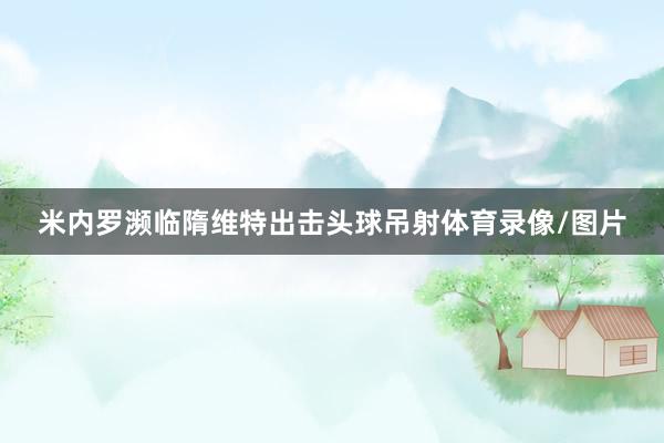 米内罗濒临隋维特出击头球吊射体育录像/图片
