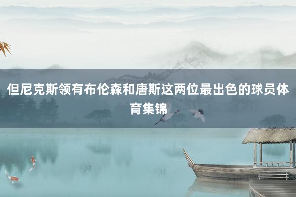 但尼克斯领有布伦森和唐斯这两位最出色的球员体育集锦