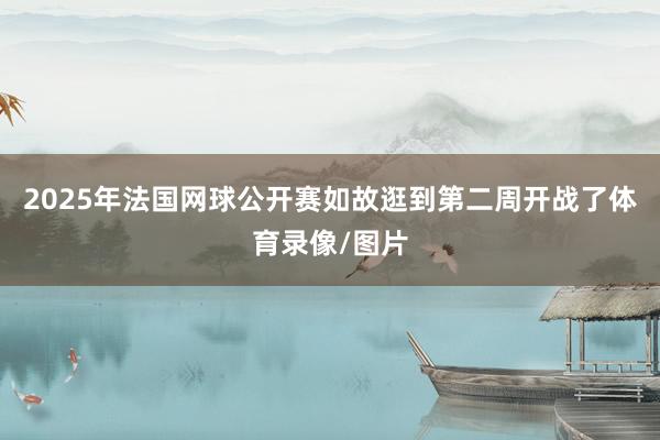 2025年法国网球公开赛如故逛到第二周开战了体育录像/图片