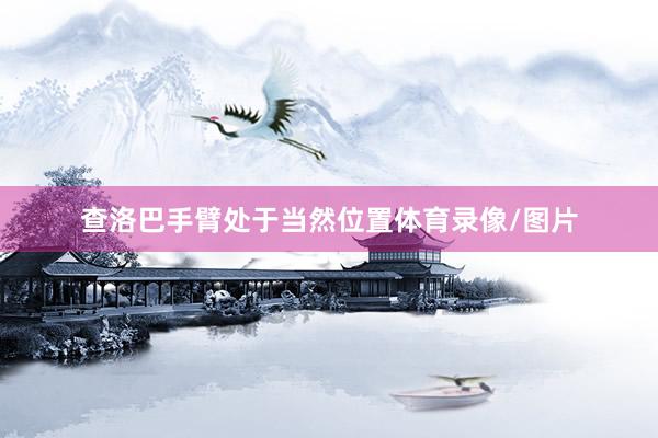 查洛巴手臂处于当然位置体育录像/图片