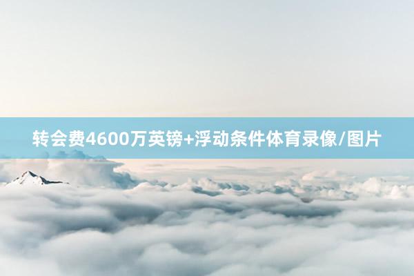 转会费4600万英镑+浮动条件体育录像/图片