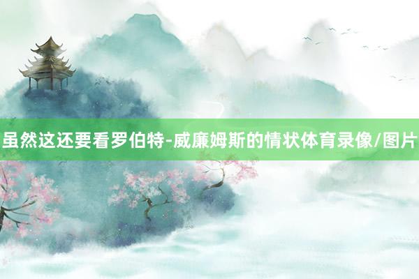 虽然这还要看罗伯特-威廉姆斯的情状体育录像/图片