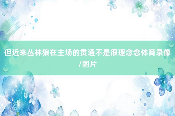 但近来丛林狼在主场的贯通不是很理念念体育录像/图片