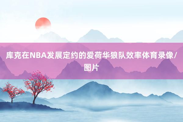 库克在NBA发展定约的爱荷华狼队效率体育录像/图片