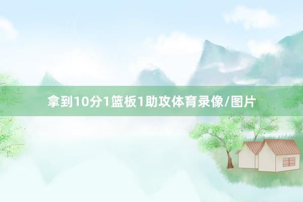 拿到10分1篮板1助攻体育录像/图片
