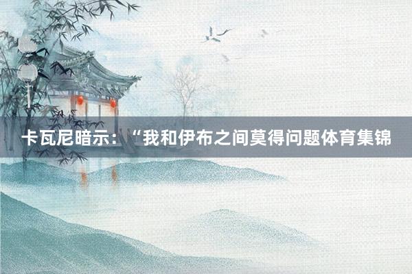 卡瓦尼暗示：“我和伊布之间莫得问题体育集锦