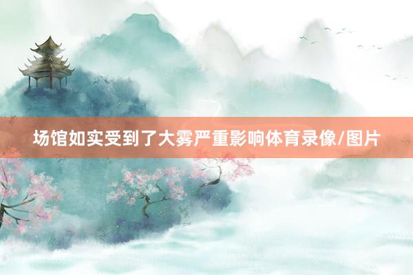 场馆如实受到了大雾严重影响体育录像/图片