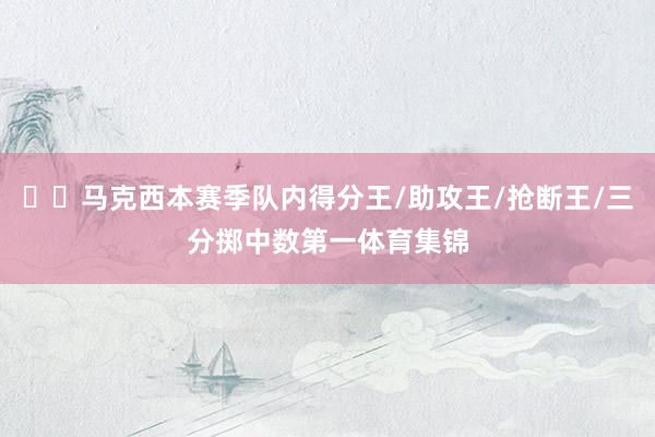 ☝️马克西本赛季队内得分王/助攻王/抢断王/三分掷中数第一体育集锦