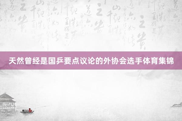 天然曾经是国乒要点议论的外协会选手体育集锦