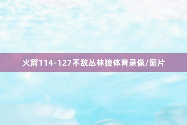 火箭114-127不敌丛林狼体育录像/图片